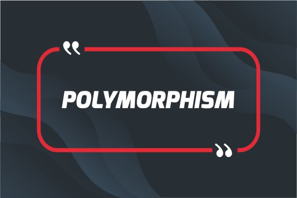 Standard Post with Gallery